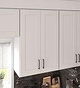Furinno Basic Coffee Table, 2-Tier Modern Coffee Table with Open Shelf, Easy Assembly Side Table, for Living Room, Bedroom, Home Office, Amber Oak